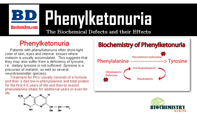 Phenylketonuria