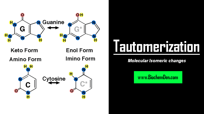 tautomerization: isomerism of tautomers