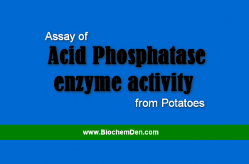 Assay of Acid Phosphatase enzyme activity