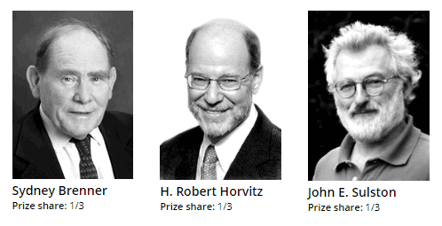 Nobel Prize in Physiology and Medicine From 2001 to 2020 (Updated) Nobel prize in chemistry 2002