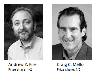 Nobel Prize in Physiology and Medicine From 2001 to 2020 (Updated) Nobel prize in medicine 2006