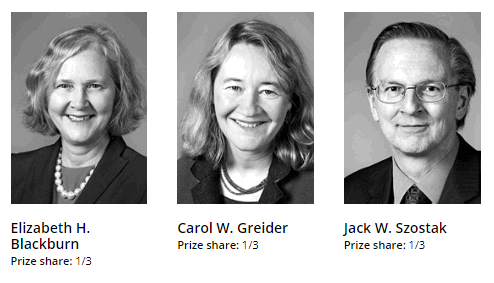 Nobel Prize in Physiology and Medicine From 2001 to 2020 (Updated) Nobel prize in medicine 2009