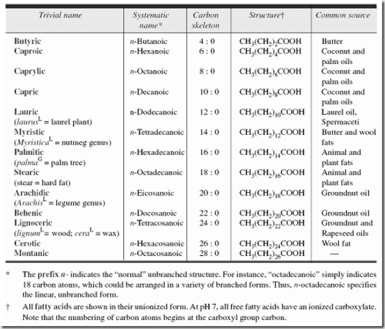 Fatty Acids Are The Building Blocks Of Fats And Oils 2020 chemistry-of-fats-and-oil-food-tech-notes