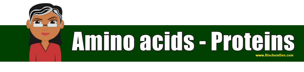 Amino acids - Proteins (Basic Overview) Amino acids and proteins