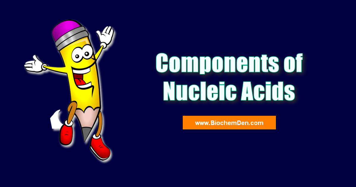 what are the components of nucleic acids with example nucleic acids