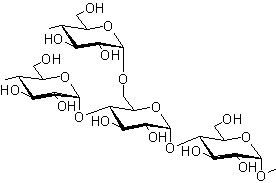 What are Polysaccharides and How it was Classified? Amylopectin structure