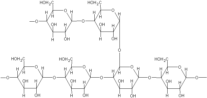 What are Polysaccharides and How it was Classified? What are Polysaccharides and How it was Classified? - Biochemistry Den