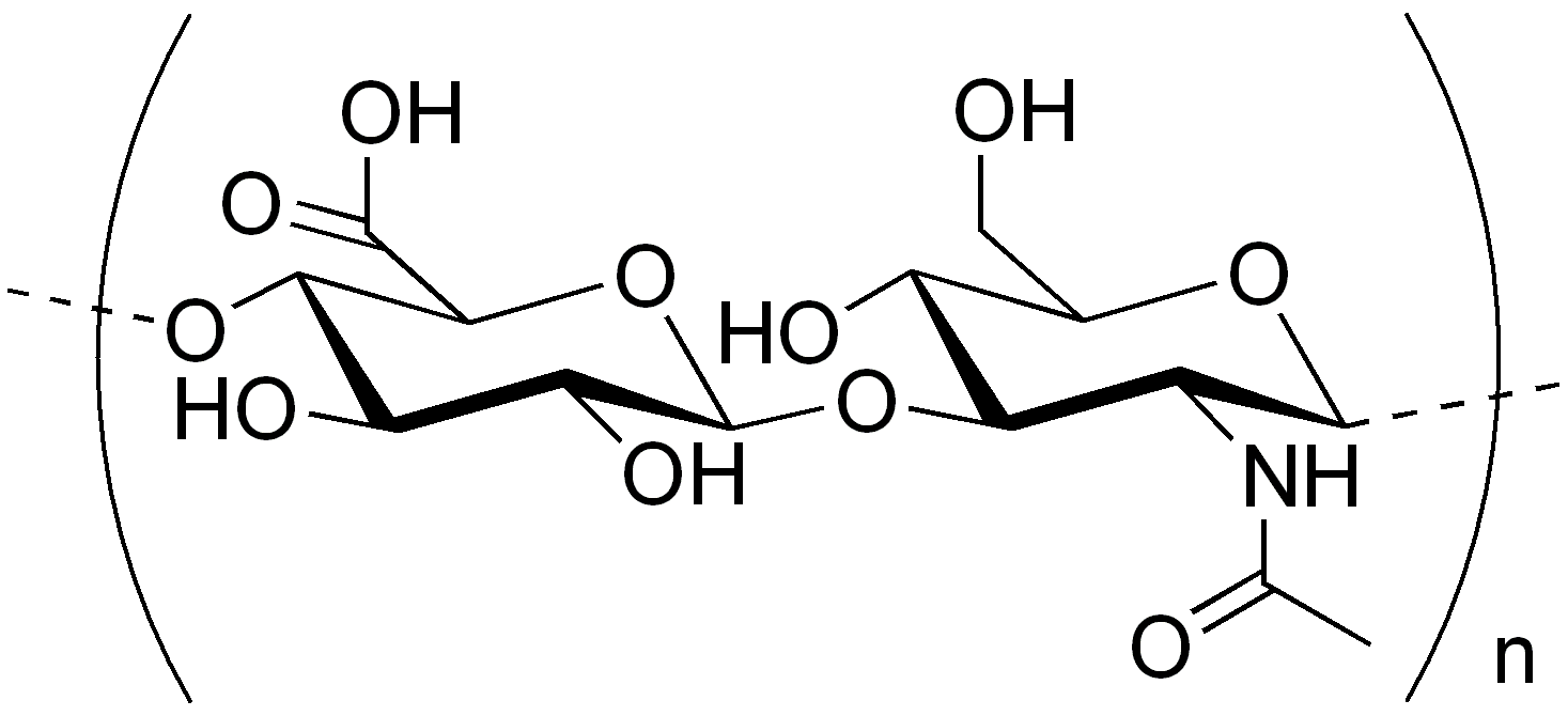 What are Polysaccharides and How it was Classified? What are Polysaccharides and How it was Classified? - Biochemistry Den