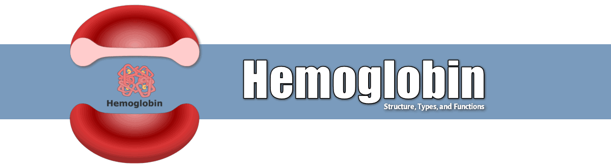 Hemoglobin: Structure, Function and its Properties hemoglobin structure and types