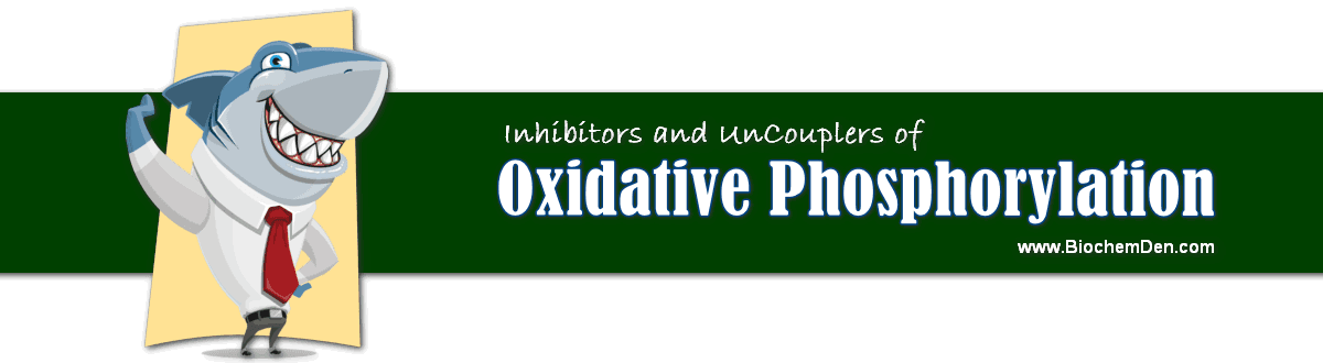 Inhibitors and UnCouplers of Oxidative Phosphorylation inhibitors and uncouplers of oxidative phosphorylation