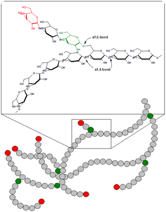 Glycogenesis: How to Synthesize Glycogen? glycogen primer
