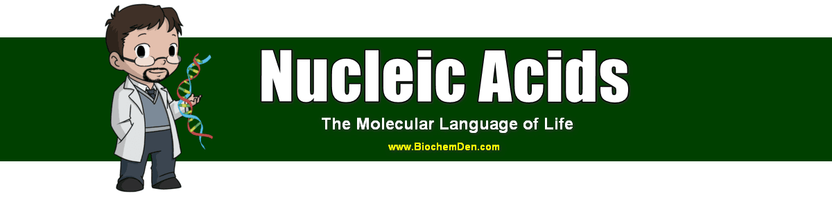 Nucleic Acids are the Molecular Language of life nucleic acids intro