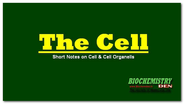 The Cell Organelles Short Notes The Cell Organelles Short Notes