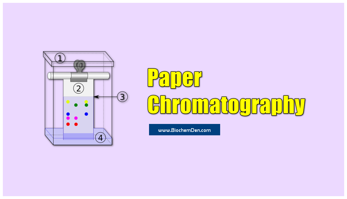 research paper on chromatography