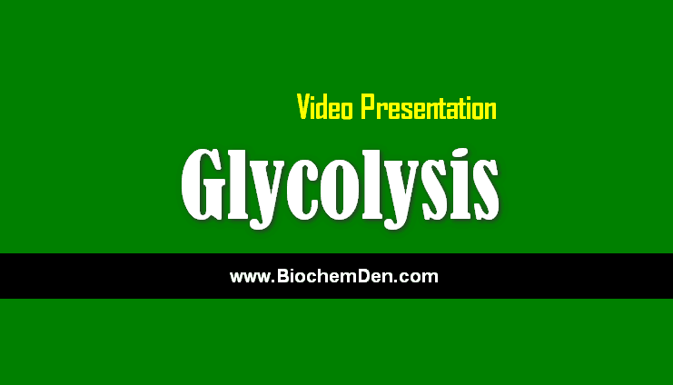 Glycolysis Video Lecture Glycolysis video lecture presentation