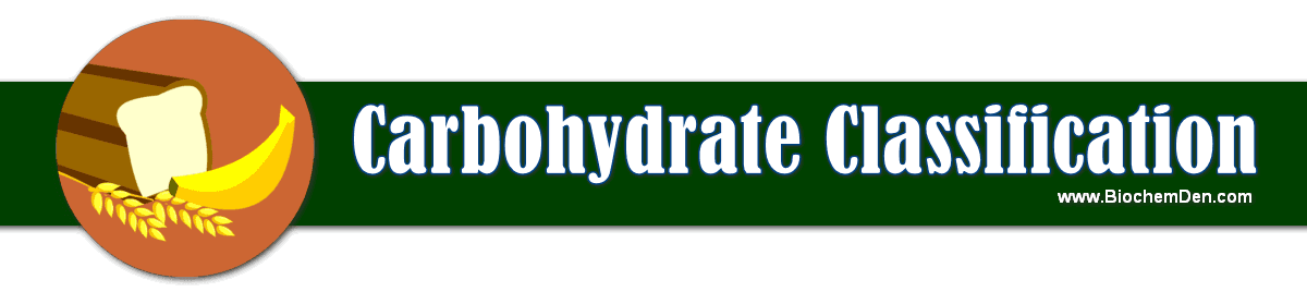 What are the Classifications of Carbohydrates? Explain with Examples carbohydrates classification