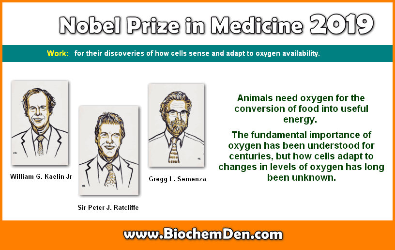 Nobel Prize in Physiology and Medicine From 2001 to 2020 (Updated) nobel prize in physiology or medicine winners 2019