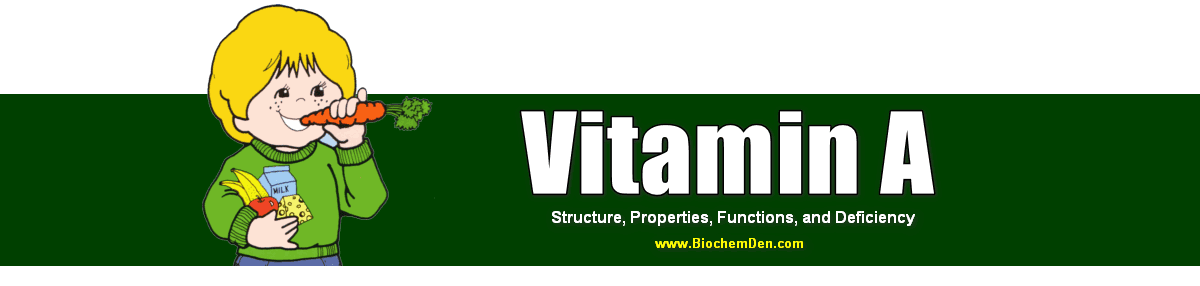 Vitamin A: Structure, Properties, Functions, and Deficiency Vitamin A structure functions 2020